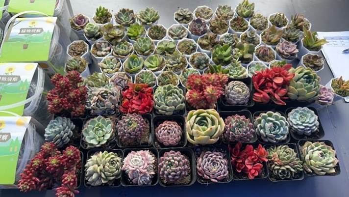 桌子上放着许多食物 AI 生成的内容可能不正确。 桌子上放着许多食物 AI 生成的内容可能不正确。